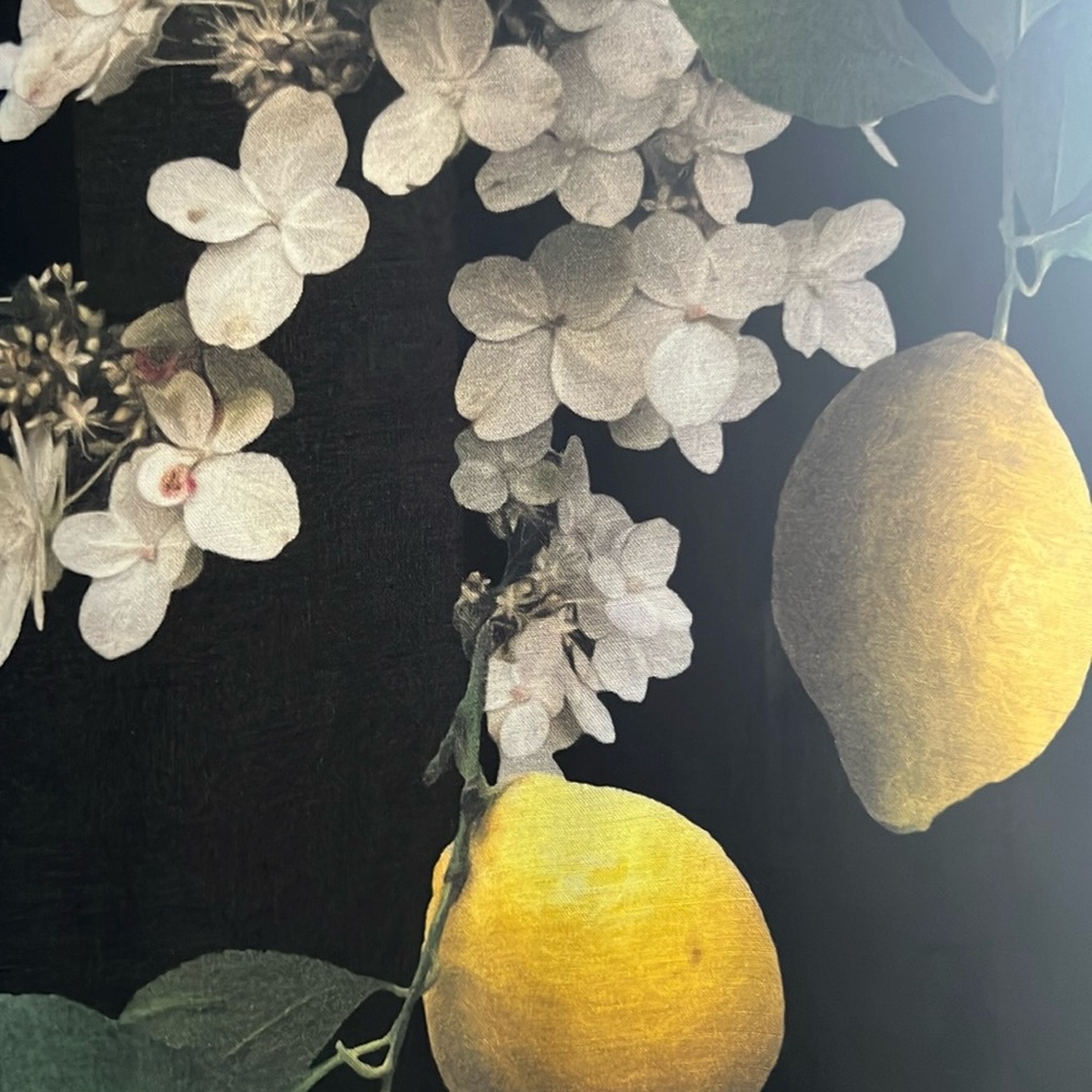 All Saints lightweight lemon 🍋 print half kimono/pool coverup! ☀️ - Picture 3 of 6